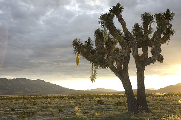 ATARDECER EN LA RESERVA