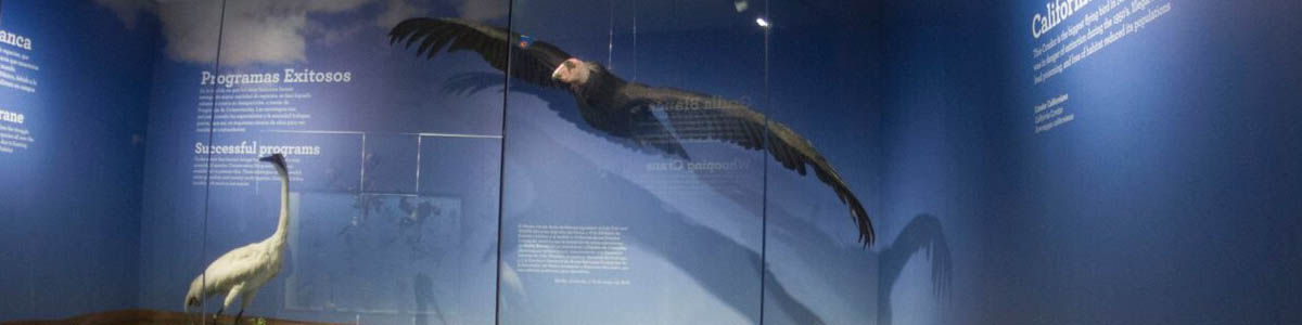 Programas exitosos de conservación